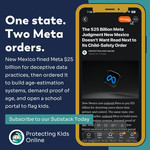 One state. Two Meta orders. New...